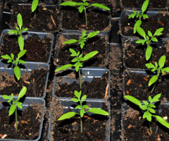 Preaching Series - Our Values